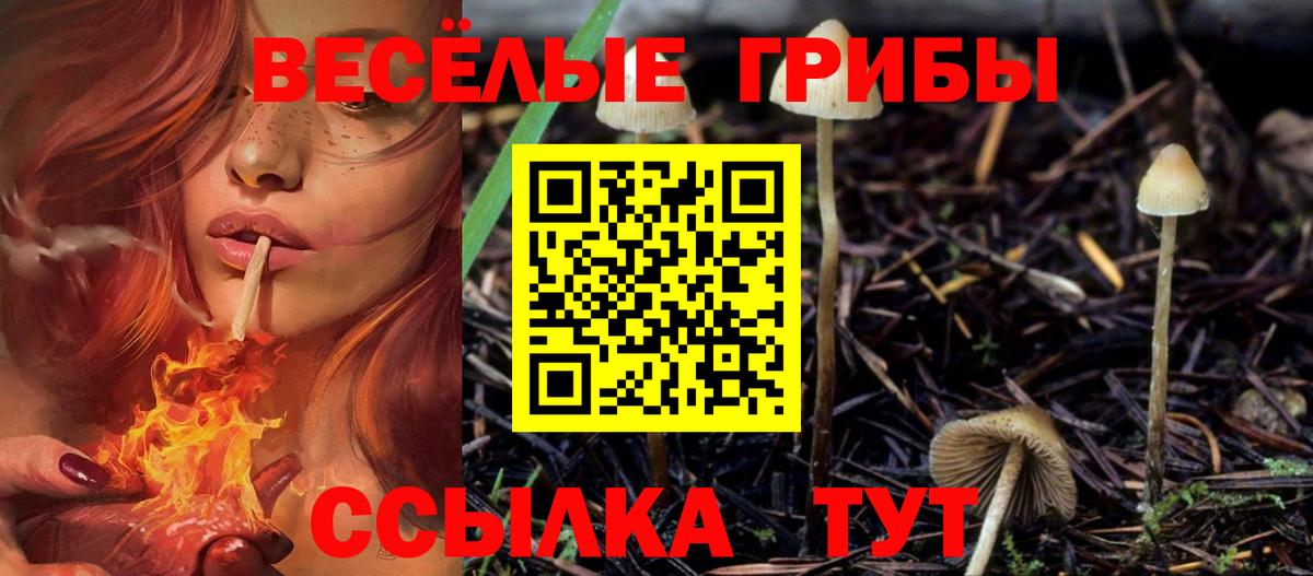 Галлюциногенные грибы прущие грибы  Вход с VPN  Волгодонск 