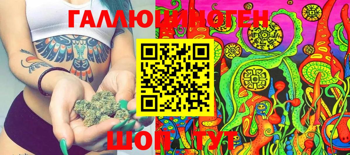 Псилоцибиновые грибы Psilocybine cubensis Волгодонск